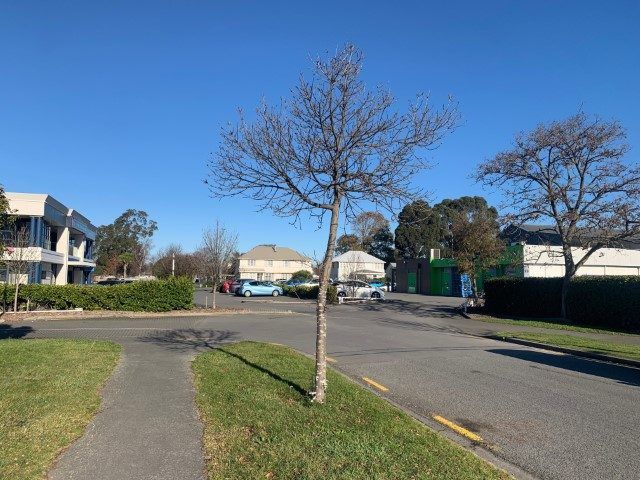  at 8A Newnham Terrace, Upper Riccarton, Christchurch