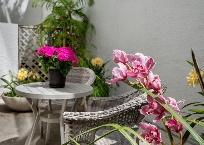  at G16/30 York Street, Parnell, Auckland City, Auckland