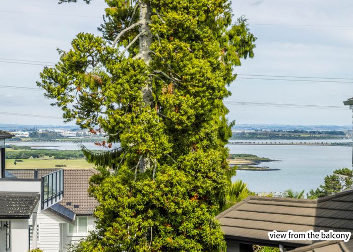  at 300A Hillsborough Road, Hillsborough, Auckland