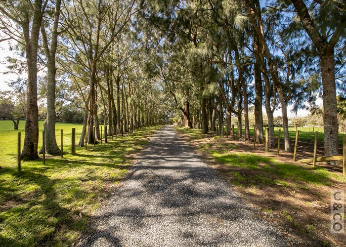  at 353 Taylor Road, Waimauku