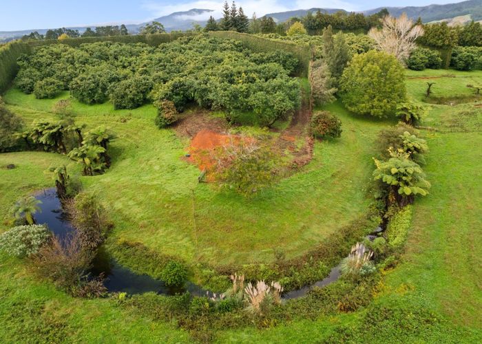  at 222 Wharawhara Road, Katikati, Western Bay Of Plenty, Bay Of Plenty