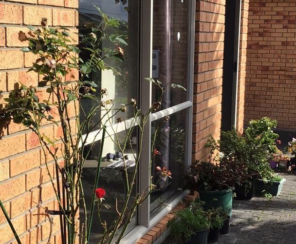  at 36B Chalmers Street, Avondale, Auckland City, Auckland