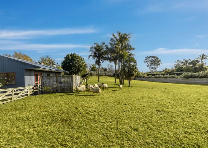  at 249 Plummers Point Road, Whakamarama, Tauranga
