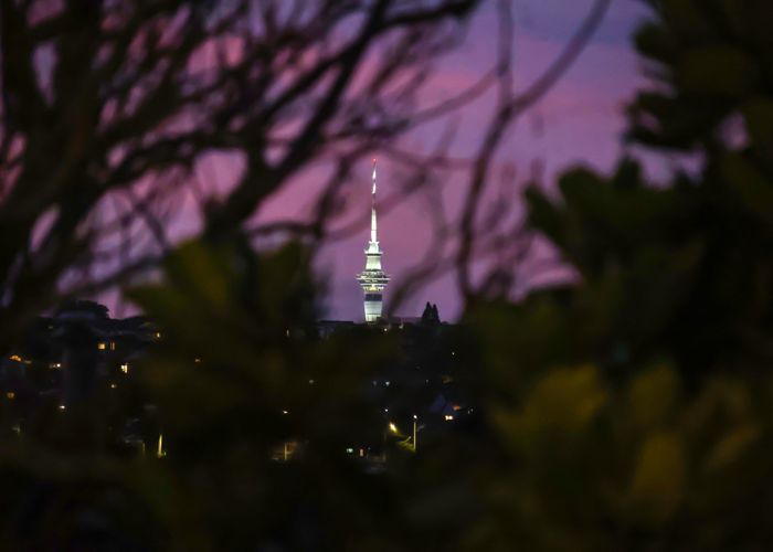 at 158A Ladies Mile, Ellerslie, Auckland City, Auckland