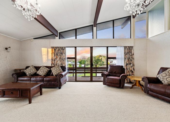  at 17 Lane Place, Awapuni, Palmerston North, Manawatu / Whanganui