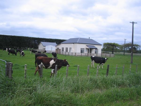  at Newbury Line, Newbury, Manawatu, Manawatu / Whanganui