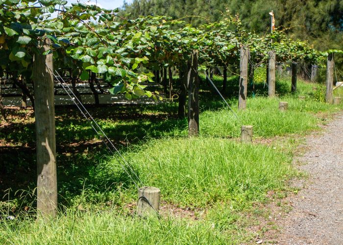  at 2412C State Highway 10, Kerikeri, Far North, Northland