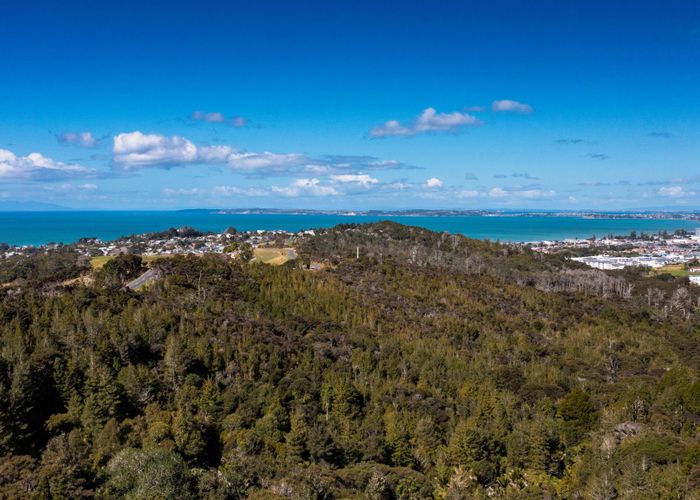  at 160 Hillcrest Road, HATFIELDS BEACH, OREWA