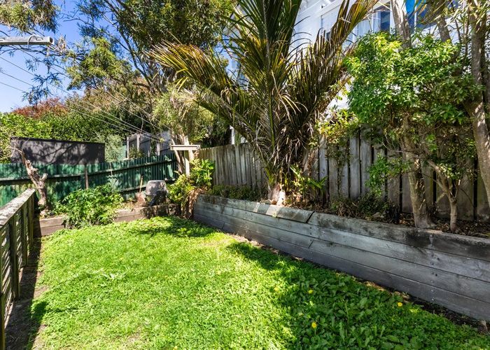  at 286 Adelaide Road, Newtown, Wellington, Wellington