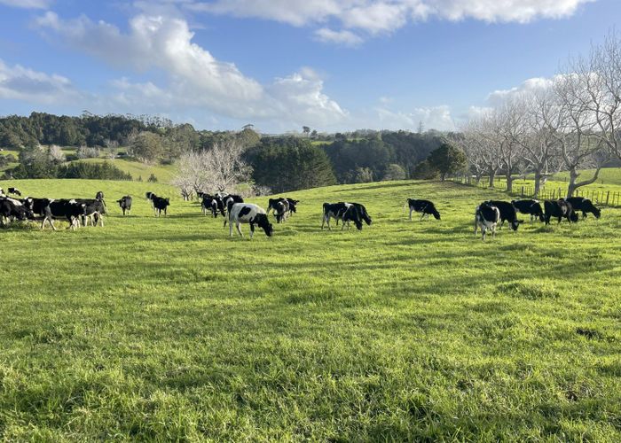  at 140 Te Arai Point Road, Te Arai, Rodney, Auckland