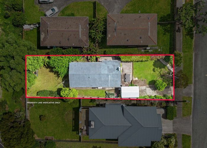  at 13 Berridge Avenue, Point Chevalier, Auckland City, Auckland