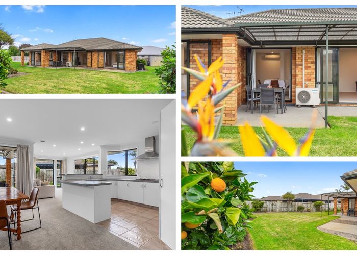  at 16 Addison Court, Papamoa, Tauranga, Bay Of Plenty