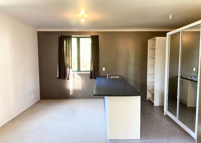  at 1B Mortimer Terrace, Aro Valley, Wellington, Wellington