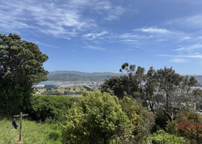  at 97 Tannadyce Street, Strathmore Park, Wellington, Wellington