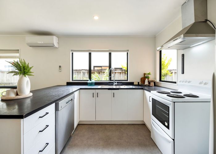  at 164 Massey Street, Frankton, Hamilton