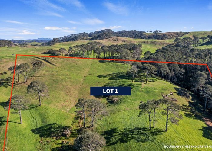  at Lot 1/177 Link Road, Hahei, Thames-Coromandel, Waikato