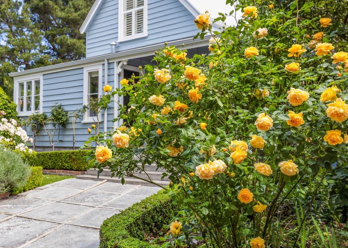  at 211 Summerhill Road, Cust, Waimakariri, Canterbury