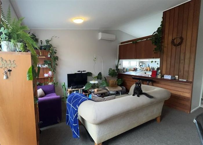  at 2/29 Maple Grove, Kingston, Wellington, Wellington
