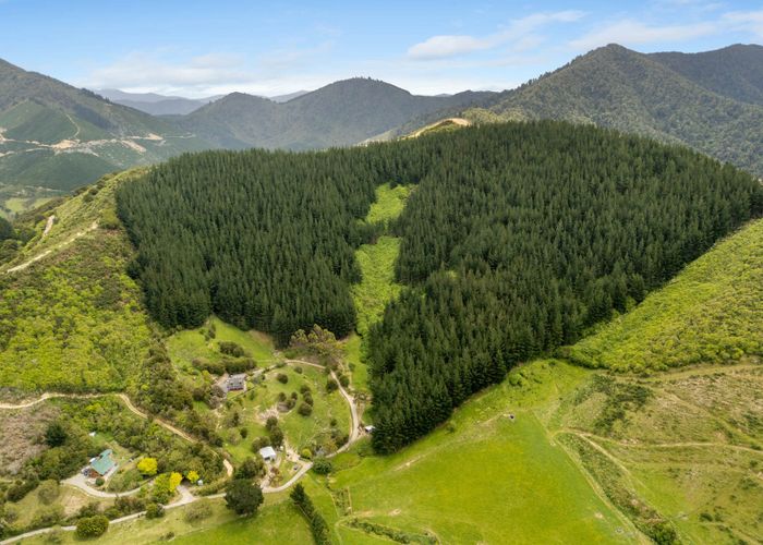  at 125 Kaiuma Bay Road, Havelock, Marlborough, Marlborough