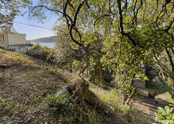  at 2/12 Te Anau Avenue, Hataitai, Wellington, Wellington