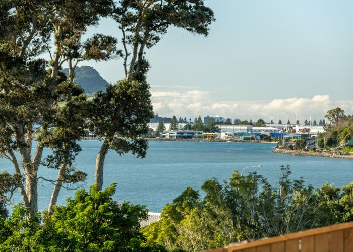  at 89 Sixth Avenue, Tauranga, Tauranga