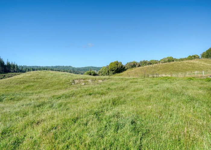  at 445 Lake Kaniere Road, BLUE SPUR, HOKITIKA