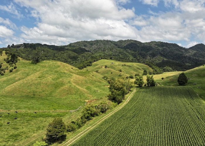  at 636 Otara Road, Opotiki, Opotiki, Bay Of Plenty