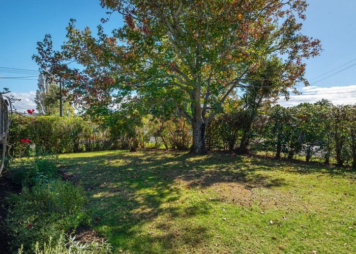  at 6 Alma Road, Milford, Auckland