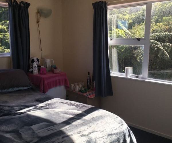  at 24 D Chastudon Place , Tawa, Wellington, Wellington