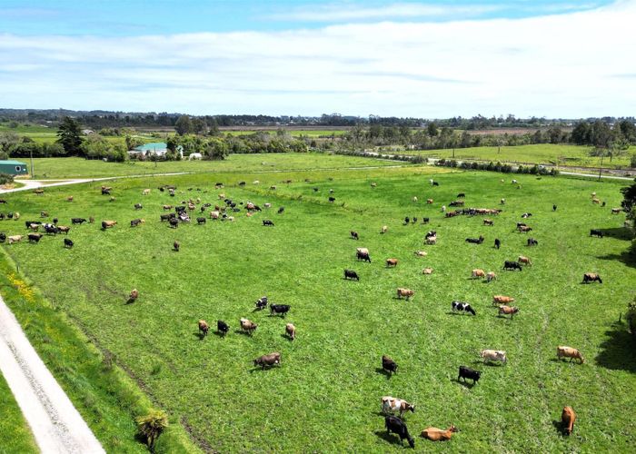  at 130 Stephen Road, Westport, Buller, West Coast