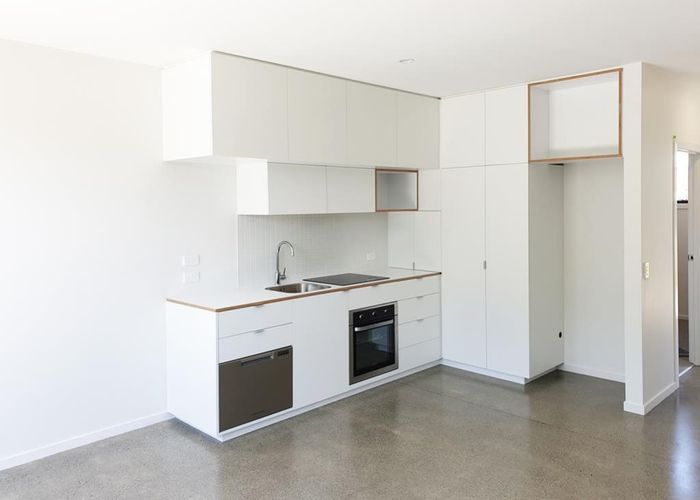  at 41 Te Ara o Paetutu, Petone, Lower Hutt, Wellington