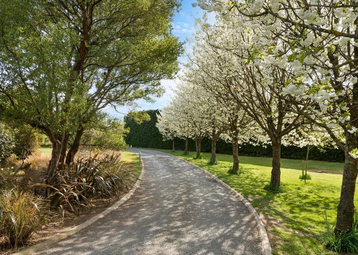  at 135 Wild Road, Christchurch