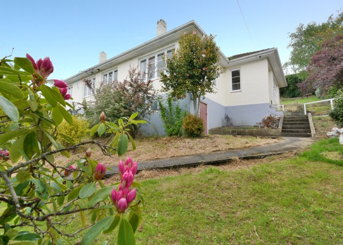  at 17 Prospect Bank, Wakari, Dunedin