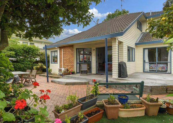 Free property data for 161C Fraser Street, Tauranga South, Tauranga