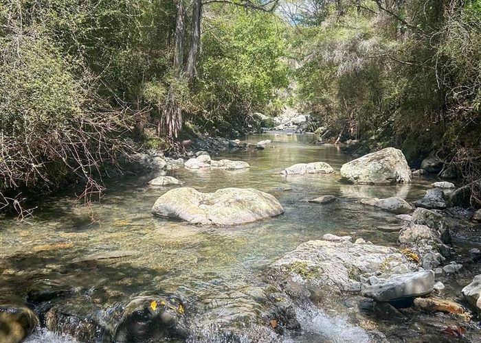  at Wairau Valley Road, Wairau Valley, Marlborough, Marlborough