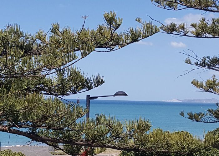 at 251 Marine Parade, Napier South, Napier, Hawke's Bay