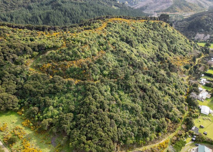  at 0 Mclaughlin Dr, Tinui