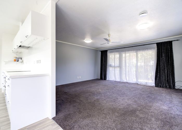  at 441 Kahikatea Drive, Dinsdale, Hamilton