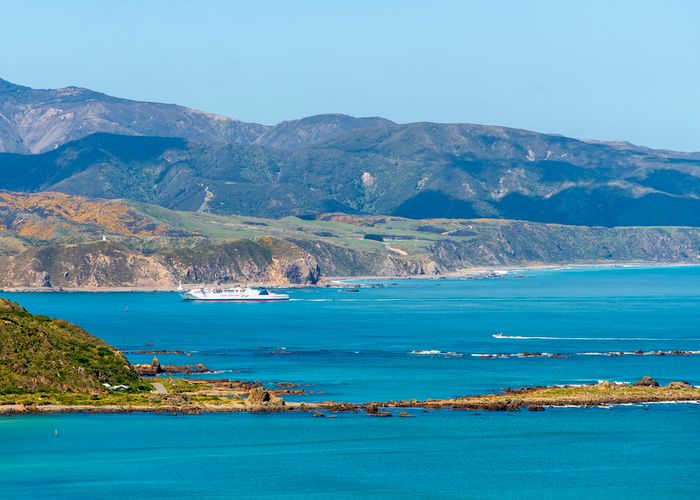  at 69 Hornsey Road, Melrose, Wellington