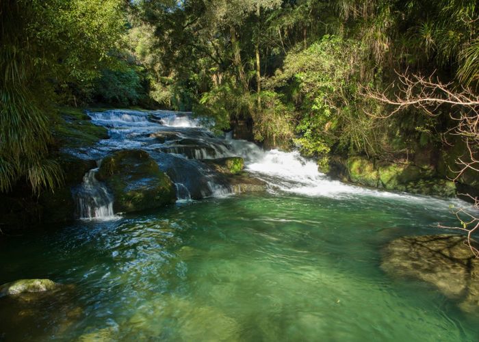  at 101 Ross Road, Tauranga
