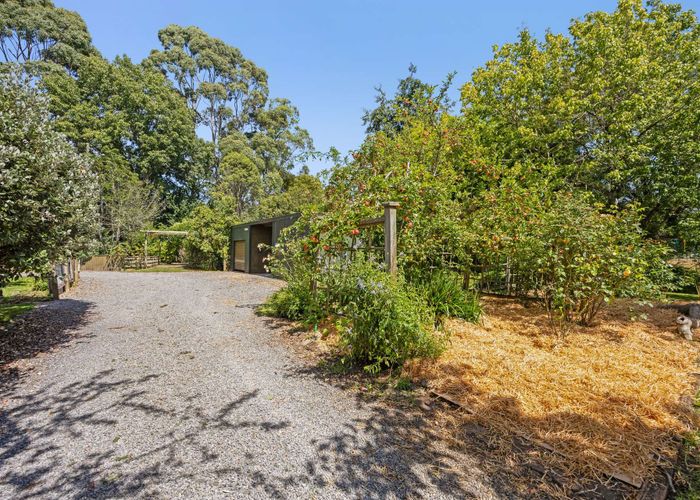  at 390 Park Road, Carterton, Carterton, Wellington