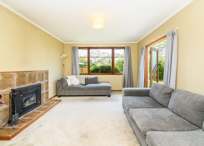  at 26 Snowdon Avenue, Terrace End, Palmerston North