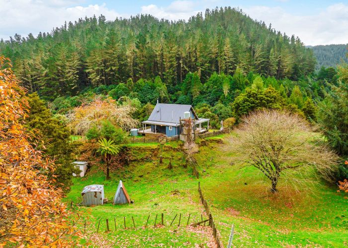  at 2005 Ongarue Stream Road, Taumarunui, Ruapehu, Manawatu / Whanganui