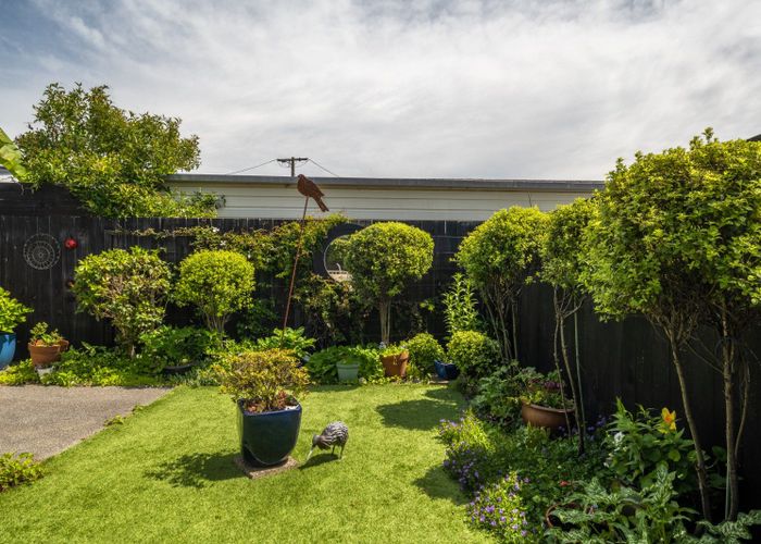 at 172A Weld Street, Witherlea, Blenheim