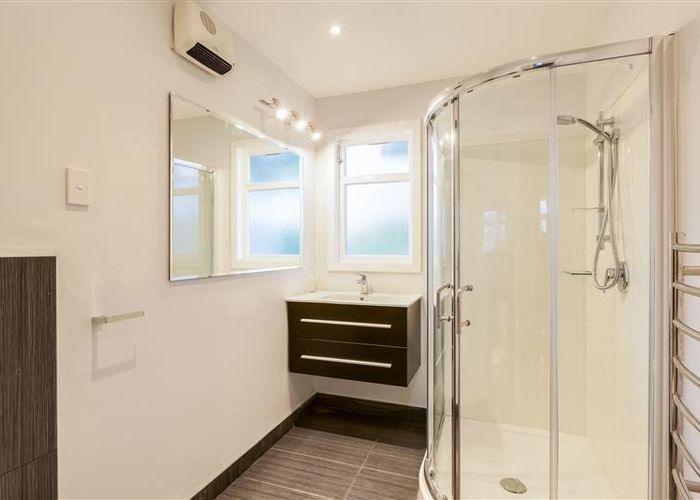  at 19 Carr Street, North East Valley, Dunedin