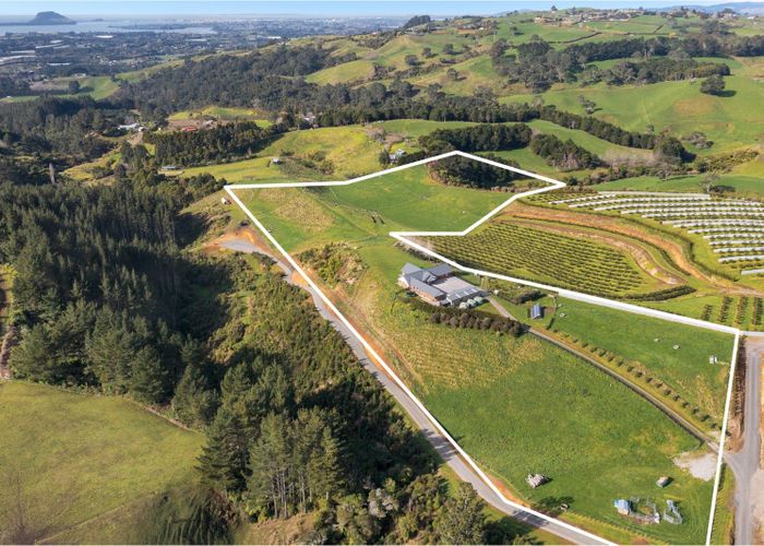 at 299 WHAKAMARAMA ROAD, Whakamarama, Bay Of Plenty