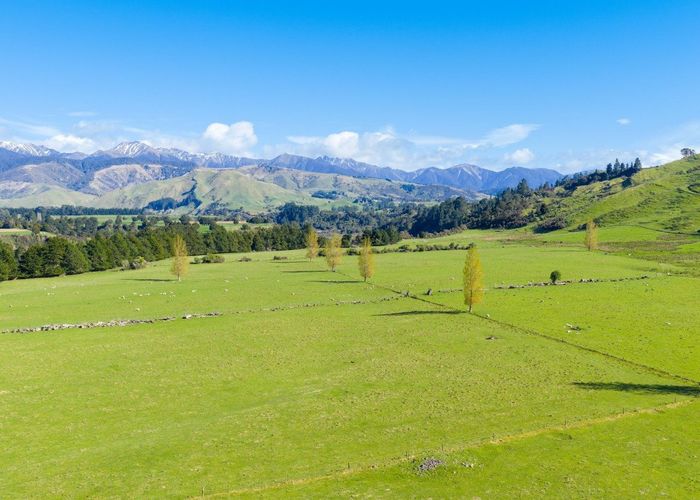  at 1139 Blackburn Road, Ongaonga, Central Hawke's Bay, Hawke's Bay