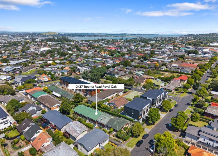  at 3/37 Turama Road, Royal Oak, Auckland City, Auckland