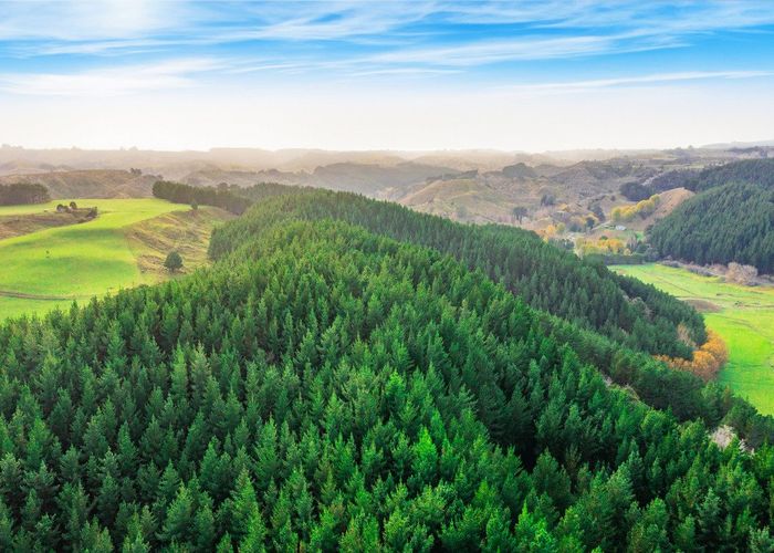  at Glencroft Forests 1, 2 & 3, Brunswick, Whanganui, Manawatu / Whanganui