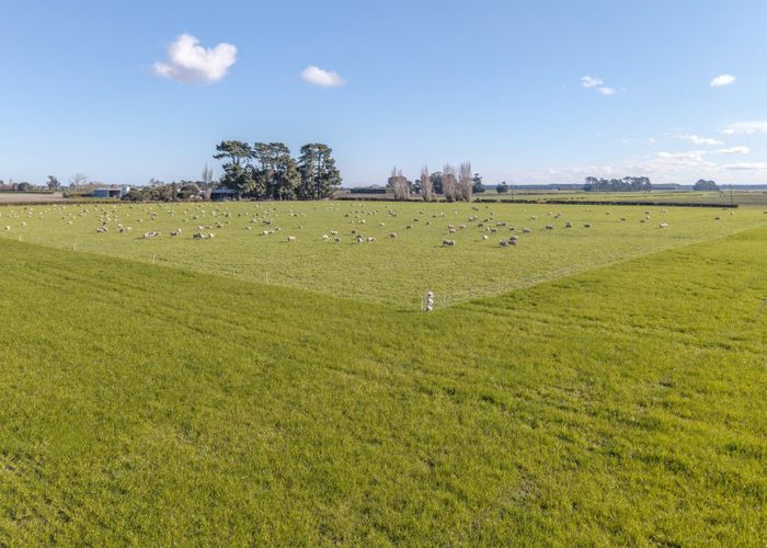  at Cryers Road, Southbridge, Selwyn, Canterbury